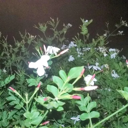 Bed & Breakfast Monterosso Realmonte