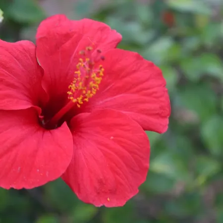 Monterosso Realmonte