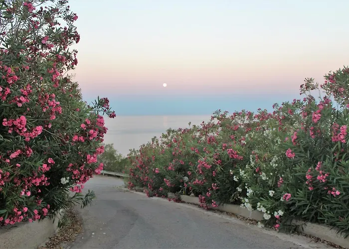 Monterosso Bed & Breakfast Realmonte