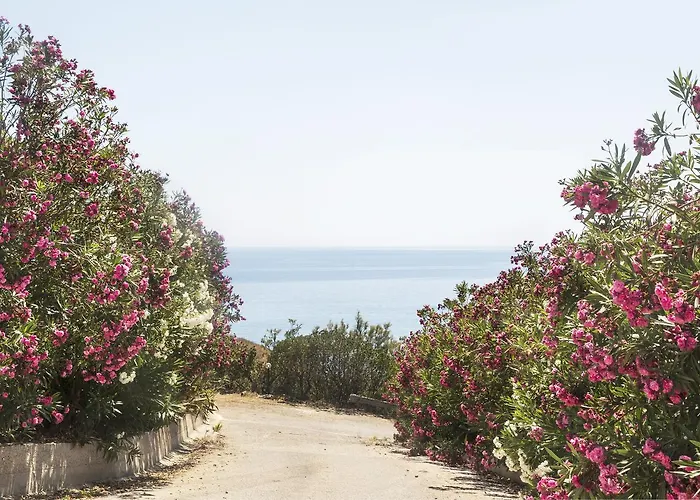 Bed & Breakfast Monterosso 4*