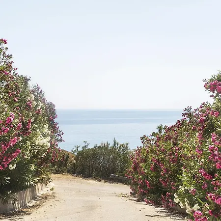 Alojamento de Acomodação e Pequeno-almoço Monterosso 4*